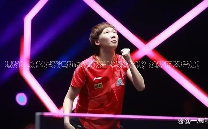 凯捷体育梯哥哥科技