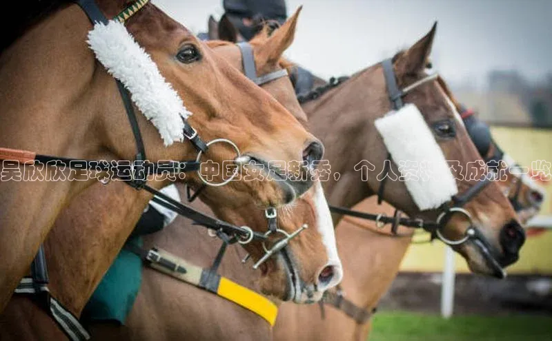 意昂4凯捷宇信科技