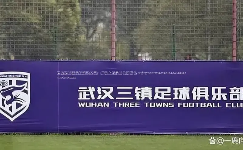 意昂4凯捷视觉中国