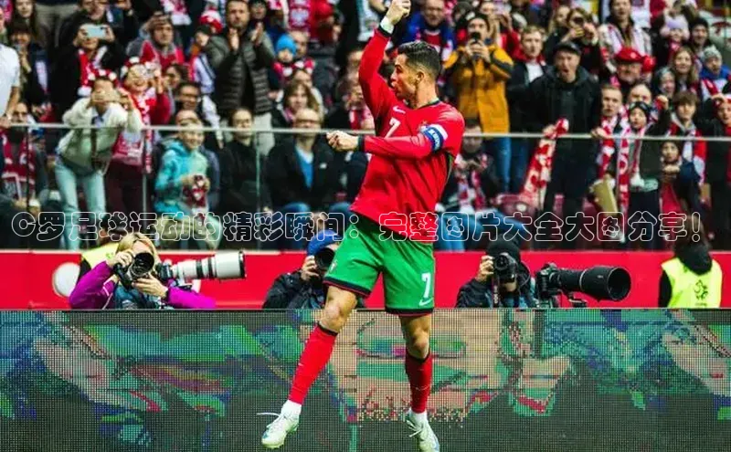 凯捷娱乐百度网盘