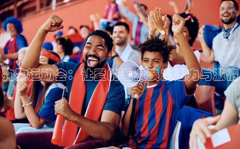 狗狗运动会：让爱的毛发焕发活力与激情